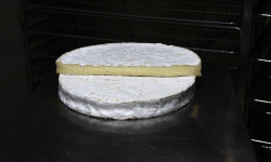Alléosse Maitre Artisan Affineur Fromager - Brie de Meaux AOP au lait cru 500g