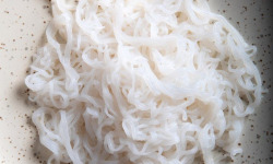 France-Konjac - Spaghettis de konjac en vrac-Format restauration/ fabrication (Quantité minimum de commande: 25 kg)