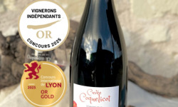 Domaine de la Chopinière du Roy - Lot de 3 Bouteilles de vin rouge Saint Nicolas de Bourgueil cuvée Coquelicot 2023 - 3 x 75 cl