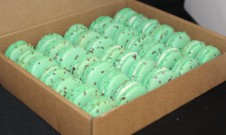 Les Macarondises - 35 Macarons After-Eight