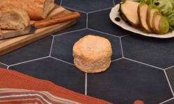Fromage Gourmet - Langres AOP
