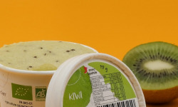 Le Jardinier Glacier - Bac 1 litre Kiwi