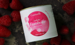 Gemelli - Gelati & Sorbetti - Sorbet Framboise sans sucre ajouté 100ml