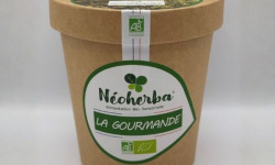 Néoherba - Tisane La Gourmande