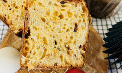 Le Pain d'Hervé - Panettone Maison Bio