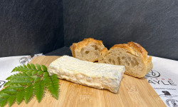 Maison BAYLE - Champions du Monde de boucherie 2016 - Brique de chèvre - 130g