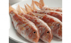 Poissonnerie Paon - Rouget-barbet : entier vidé écaillé, lot de 500g