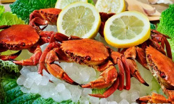 Brest Marée - Etrilles Cuites - 500g