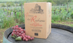 Château des Rochers - Bib fontaine de vin rouge AOC Castillon-Côtes de Bordeaux - 5L