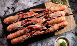 Luximer - Langoustines Cuites à l'Eau De Mer - 1kg