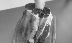 Aymonier Viandes - Marteau de Thor de veau