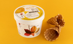 Le Jardinier Glacier - Sorbet Abricot Bergeron - 516ml