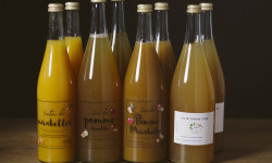 La Ferme des Prun'Elles - lot de 12 jus de fruits