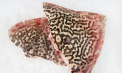 Godaille de l'Armement Cherbourgeois - En Direct du Bateau - Raiton - lot de 5kg (avec peau)