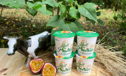Lait Prairies du Boulonnais - Yaourt fermier brassé à la mangue et passion x4
