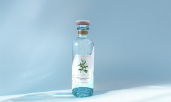 Le jardin de Mazaalaï - Base de cocktail ALOYSIA