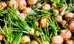 Nature et Saveurs - Ferme Aquaponique et Permacole Astérienne - Carotte Marché de Paris Sans fanes – Douceur hivernale