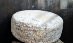 Elevage de Cochons en Forêt et Produits du Terroir Jurassien - Tomme des Loutons au lait cru - tomme entière