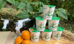 Lait Prairies du Boulonnais - Yaourt brassé à l'abricot x6