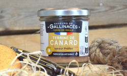 Terre de Gallie - Terrine de canard saveur préfou