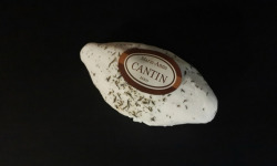 La Fromagerie Marie-Anne Cantin - LE TIGORE