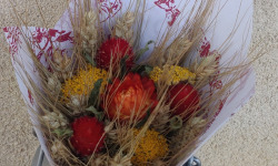 Ferme de la ville basse - Bouquet de fleurs séché