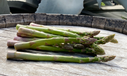 La Boite à Herbes - Botte D'asperge Verte De Provence Calibre 16/22 - 250g