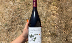 Domaine Céline Coté - Bourgogne Epineuil 2023