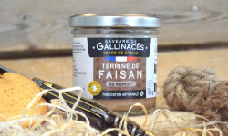 Terre de Gallie - Terrine de faisan au Kamok
