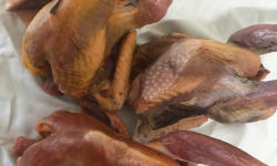 Des Poules et des Vignes à Bourgueil - 3 pintades