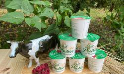 Lait Prairies du Boulonnais - Yaourt brassé à la framboise x6