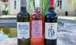 Château Jouvente - Vins de Bordeaux pour l'apéro : rouge, rosé, blanc