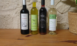 Domaine Les Conques Soulière - Coffret Découverte du Domaine Les Conques Soulière vins, huile et vin doux