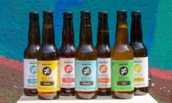 La Brasserie Parallèle - Brasserie sans alcool - Pack Maxi Découverte - 20 x 33cl