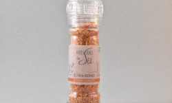 Artisans du Sel - Moulin à Sel au Piment d'Espelette 80g x 9