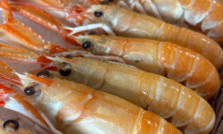 L'atelier des poissonniers - Langoustines crues