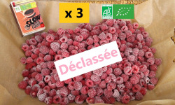 LES JARDINS DE KARINE - Framboises surgelées déclassées à cuire - 3kg
