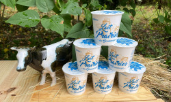 Lait Prairies du Boulonnais - Yaourt nature brassé au lait entier x6