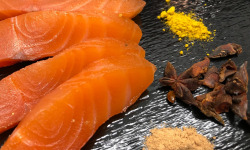 Lionel Durot - Gravlax de saumon Label Rouge au curcuma