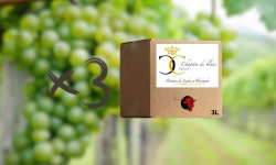 Domaine de la Chopinière du Roy - Lot 3 BIB de vin Blanc sec et aromatique 2025 Chenin - 3L