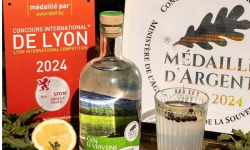 Distillerie du Bugey - Gin Le verveine 3L