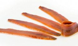 L'atelier Sea Frais - Filet d'Anchois de Camtabrie dasn l'huile de Tournesol