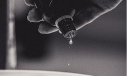 La Ferme d'Alcas - [Précommande] LOT DE 18 YAOURT CITRON 100g