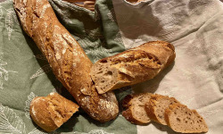 Ferme Sinsac - Baguette au levain (lot de 4)