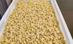 Lioravi, l'authentique pâte fraîche ! - [Précommande] Conchiglie Bio - 1kg
