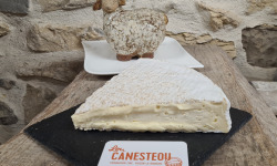 Lou Canesteou - Brie de Meaux AOP 500g