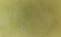 Des Poules et des Vignes à Bourgueil - Graisse de canard et poule aromatisée au curcuma