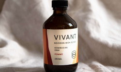 Vivant Kombucha - Kombucha Chai Pomme bio x6 (édition limitée)