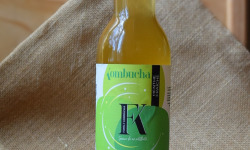 Dégustonfoin - 6 x Kombucha "Menthe" BIO 33cl