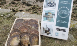 Huitres Damerose - Huitres Plates calibre TTG (n°000) - 4 douzaines (50 pièces)